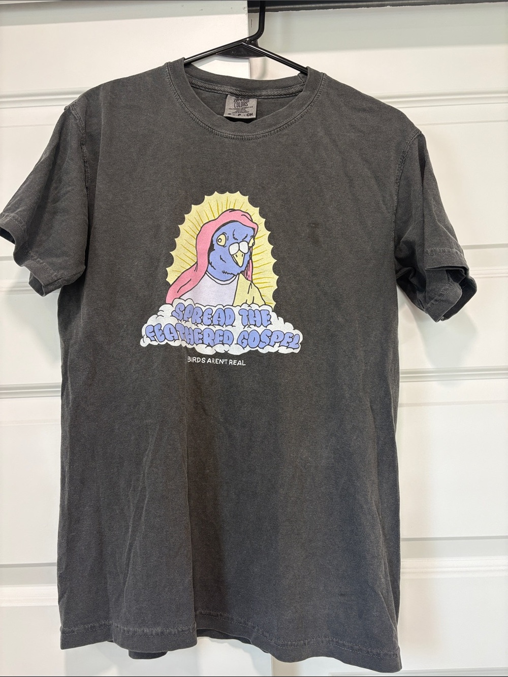 Vintage Birds Aren’t Real Spread The Feathered Gospel Graphic Tee